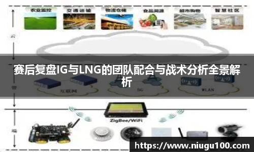 币游国际官方入口