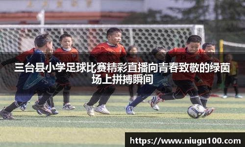 币游国际官方网站